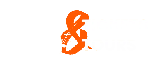 Niagara Logo